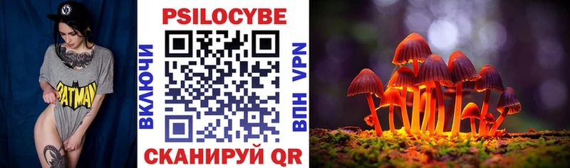 Галлюциногенные грибы Psilocybe  Струнино 