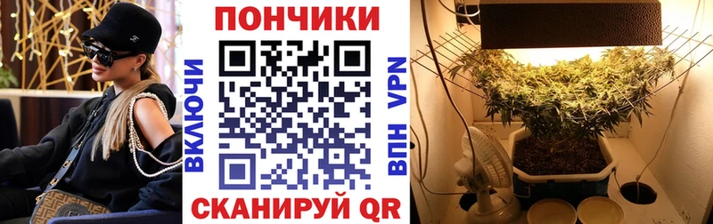 нарко площадка официальный сайт  Струнино  Марихуана ГИДРОПОН  купить закладку 